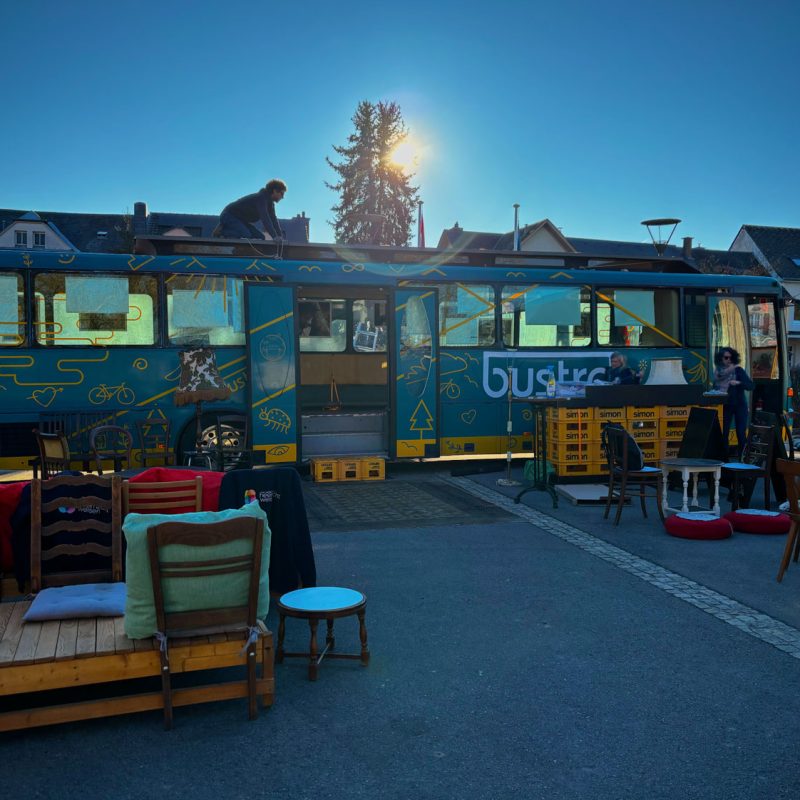 bisambus-3